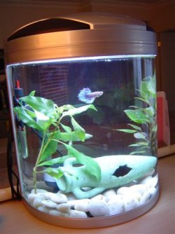 DSC05841.JPG DSC05841.JPG