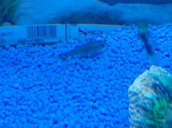 Photo_0010.jpg