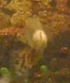 Whitty_back_shot_white_stuff.webp