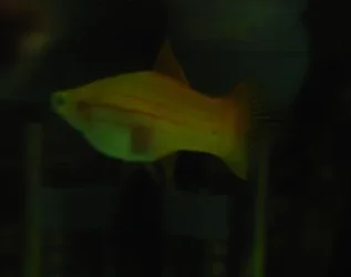 DSCN1332.webp