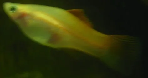 DSCN1343.webp