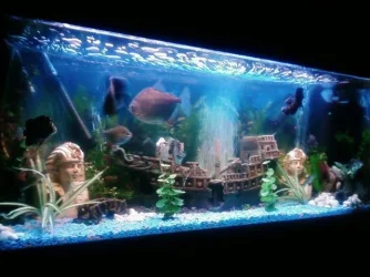 7284_4.webp