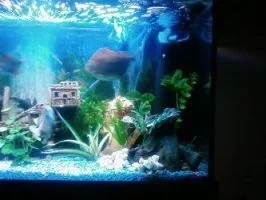 7284_2.webp