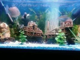 7284_3.webp