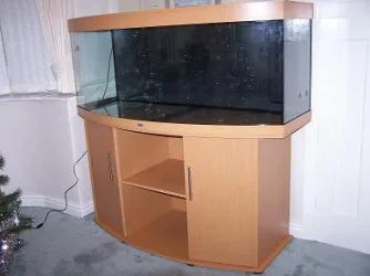 aquariu_004.webp