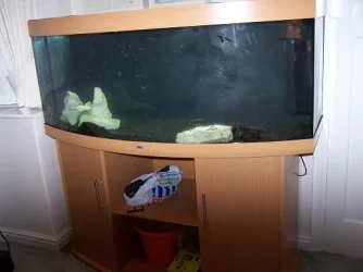 aquariu_010.webp