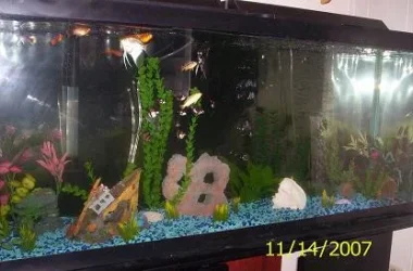 102_2503.webp