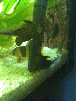 Image038.jpg Image038.jpg