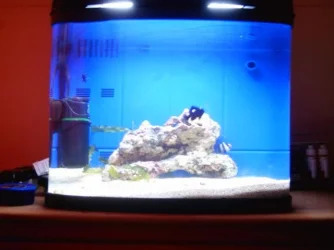 IMAG0003.webp IMAG0003.webp