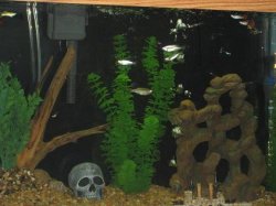 pic6.jpg