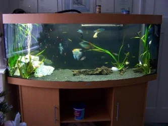 aquariu_012.webp