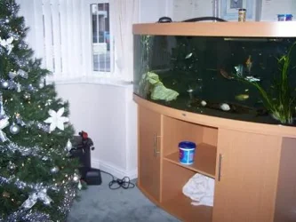 aquariu_014.webp