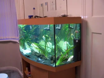 aquariu_027.webp