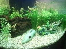 DSC00391__3_.JPG DSC00391__3_.JPG