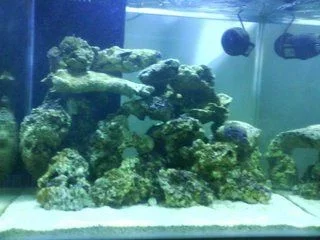 Final_Tank.webp