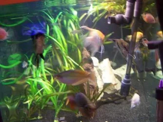 Picture_003.webp