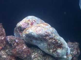 Picture_024.webp