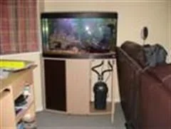 fish_tank_013__Custom_.webp