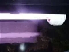 fish_tank_007__Custom_.webp