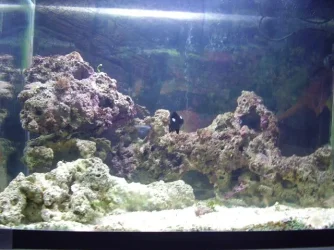fulltank.webp