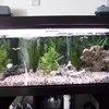 tank.webp