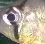 CIMG1063.webp