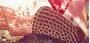 sp.webp