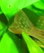 untitled.webp