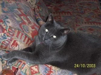 jack2.webp