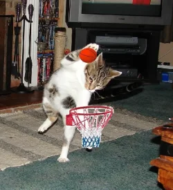 post_23712_1201461964.webp post_23712_1201461964.webp