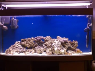 tank1.webp