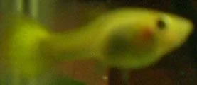 CIMG0176.webp