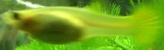 CIMG0184.webp