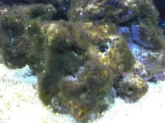 DSC01004.webp
