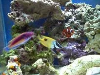 mt6.webp