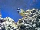 mt8.webp