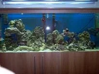 mt10.webp