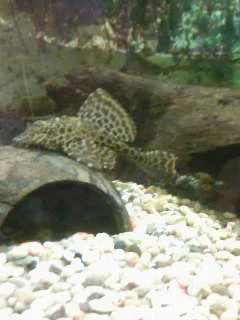 mr_plec_19.01.08.webp