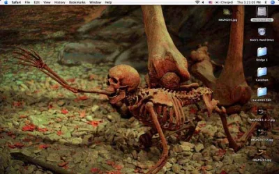 Picture_1.webp
