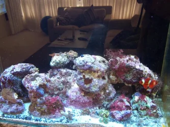 Picture_005.webp