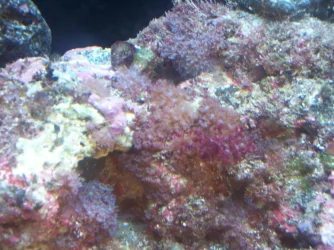 Picture_003.webp