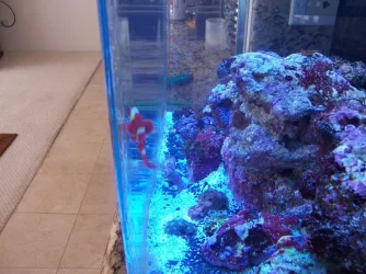 Picture_010.webp