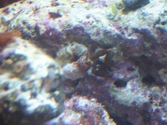 Picture_008.webp