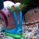 Gary.JPG