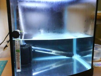 DSC00537.JPG DSC00537.JPG