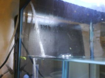 DSC00538.JPG DSC00538.JPG