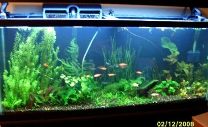 new_pics_1212.webp