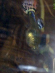 25_02_08_2038.jpg