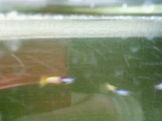 SP_A0096.webp SP_A0096.webp