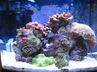 Img_1194.webp Img_1194.webp